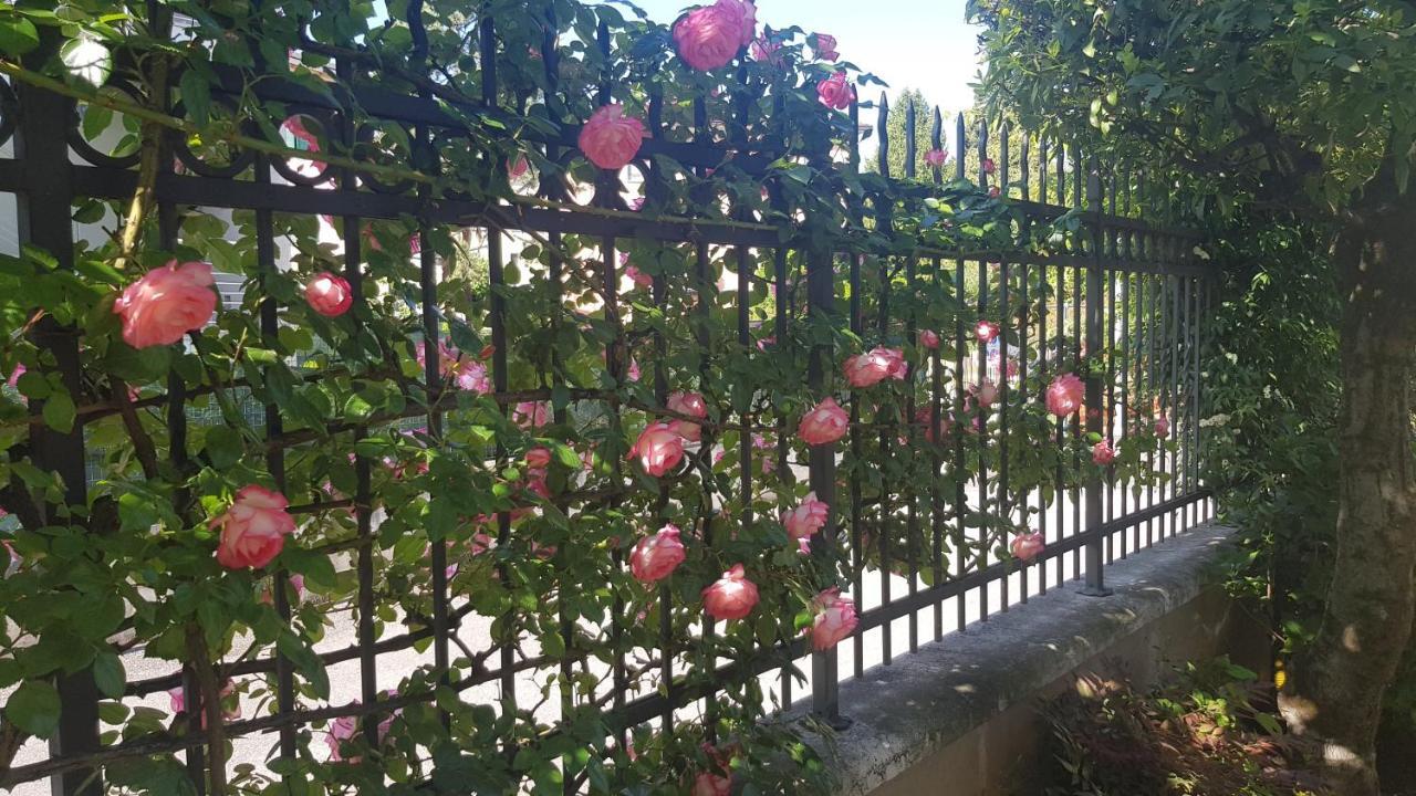 Appartamento Modenese 8 Peschiera del Garda Eksteriør bilde